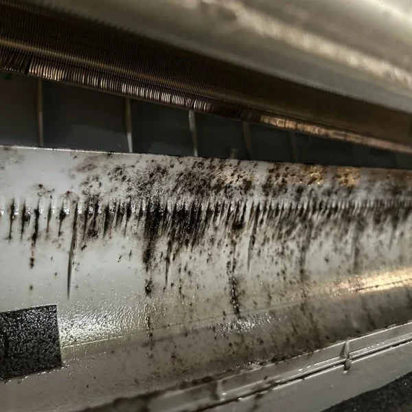 Dirty blower coil before a maintenance cleaning
