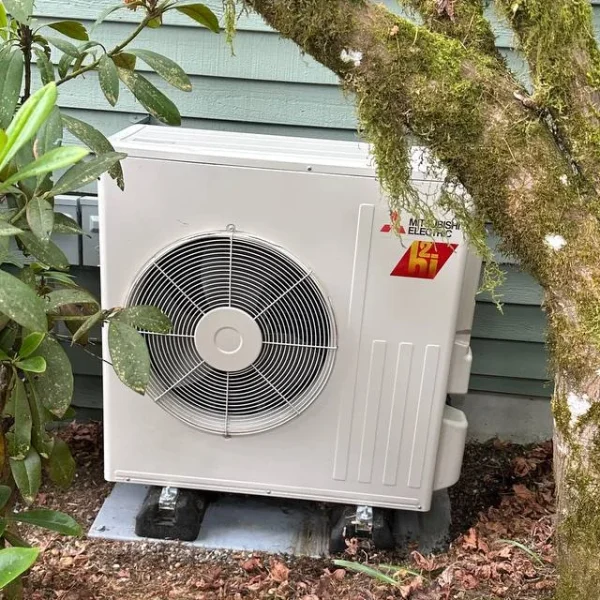 Mini-split outdoor unit installed under trees
