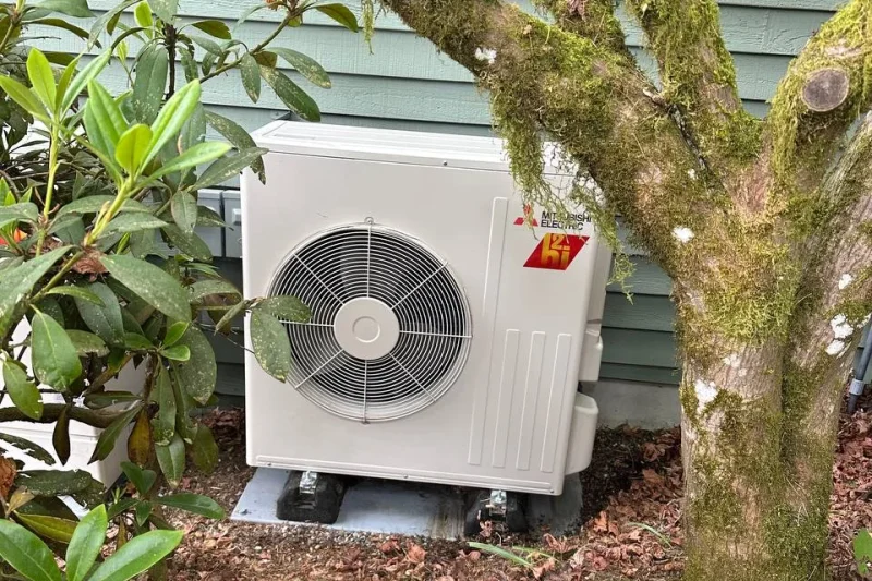 Mini-split outdoor unit installed under trees